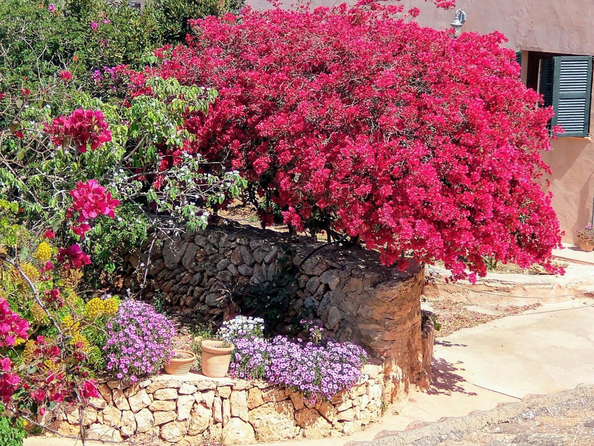 Finca Son Marimon (Adults Only) Сантаньи Экстерьер фото