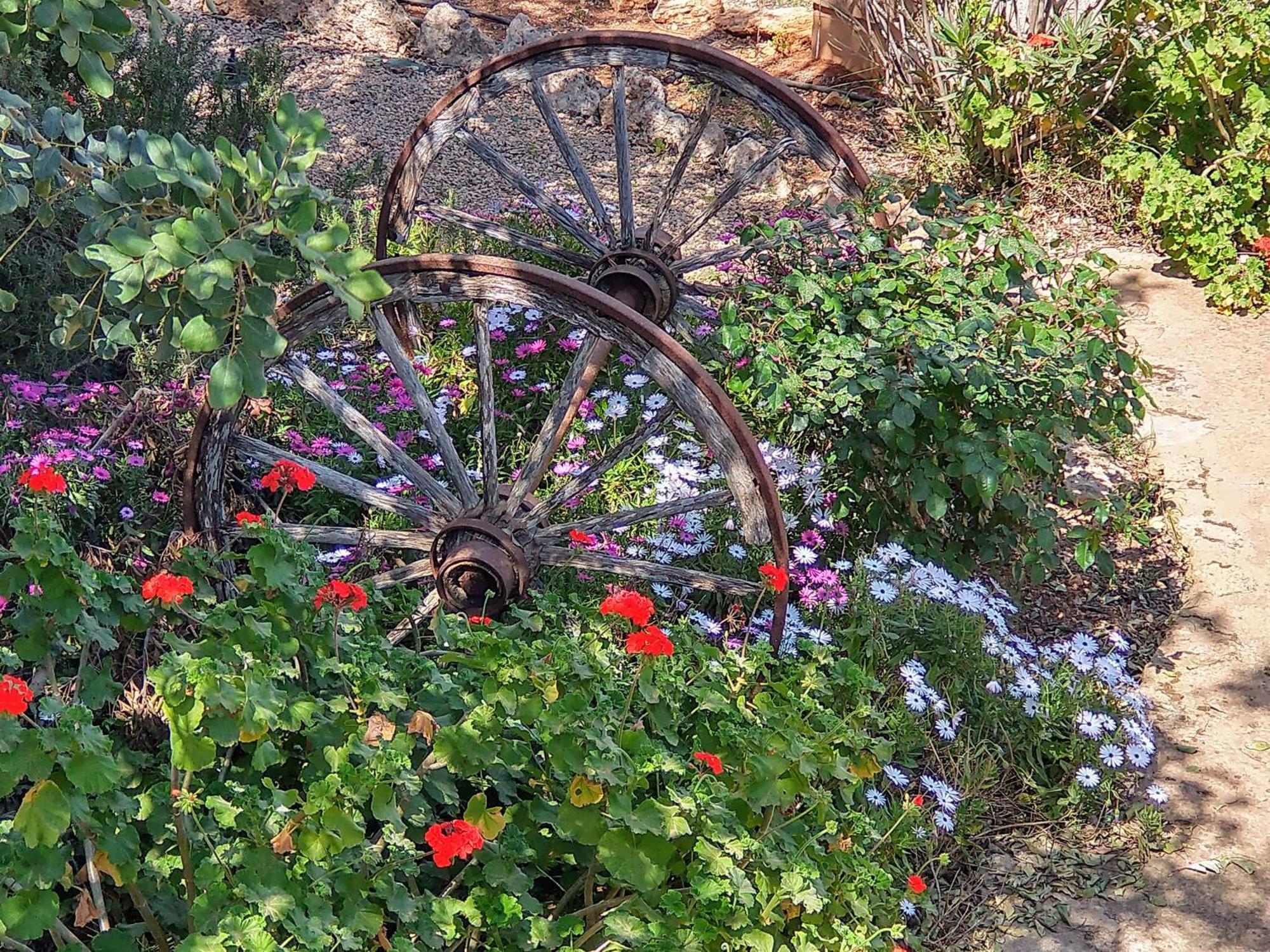 Finca Son Marimon (Adults Only) Сантаньи Экстерьер фото