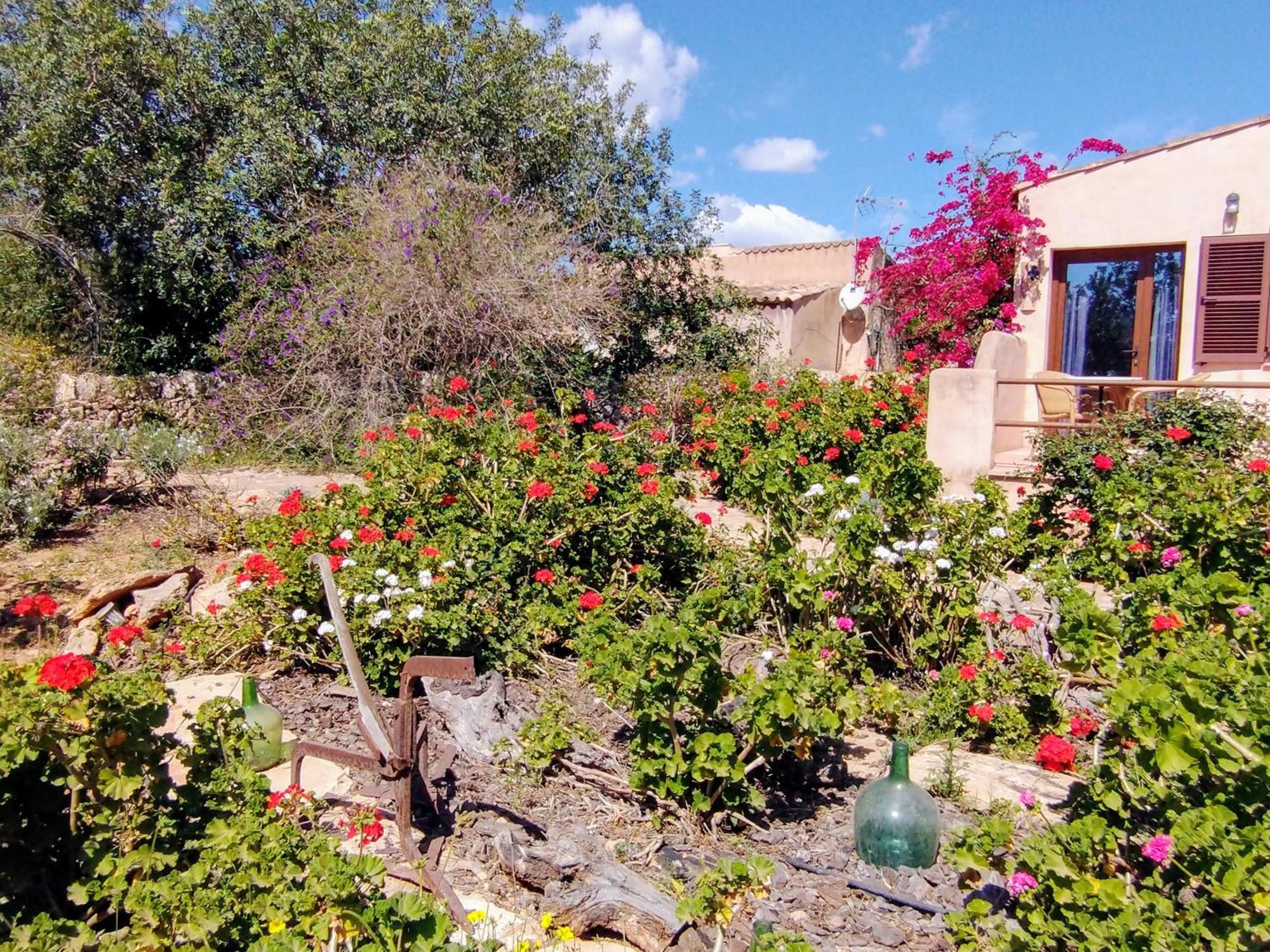 Finca Son Marimon (Adults Only) Сантаньи Экстерьер фото