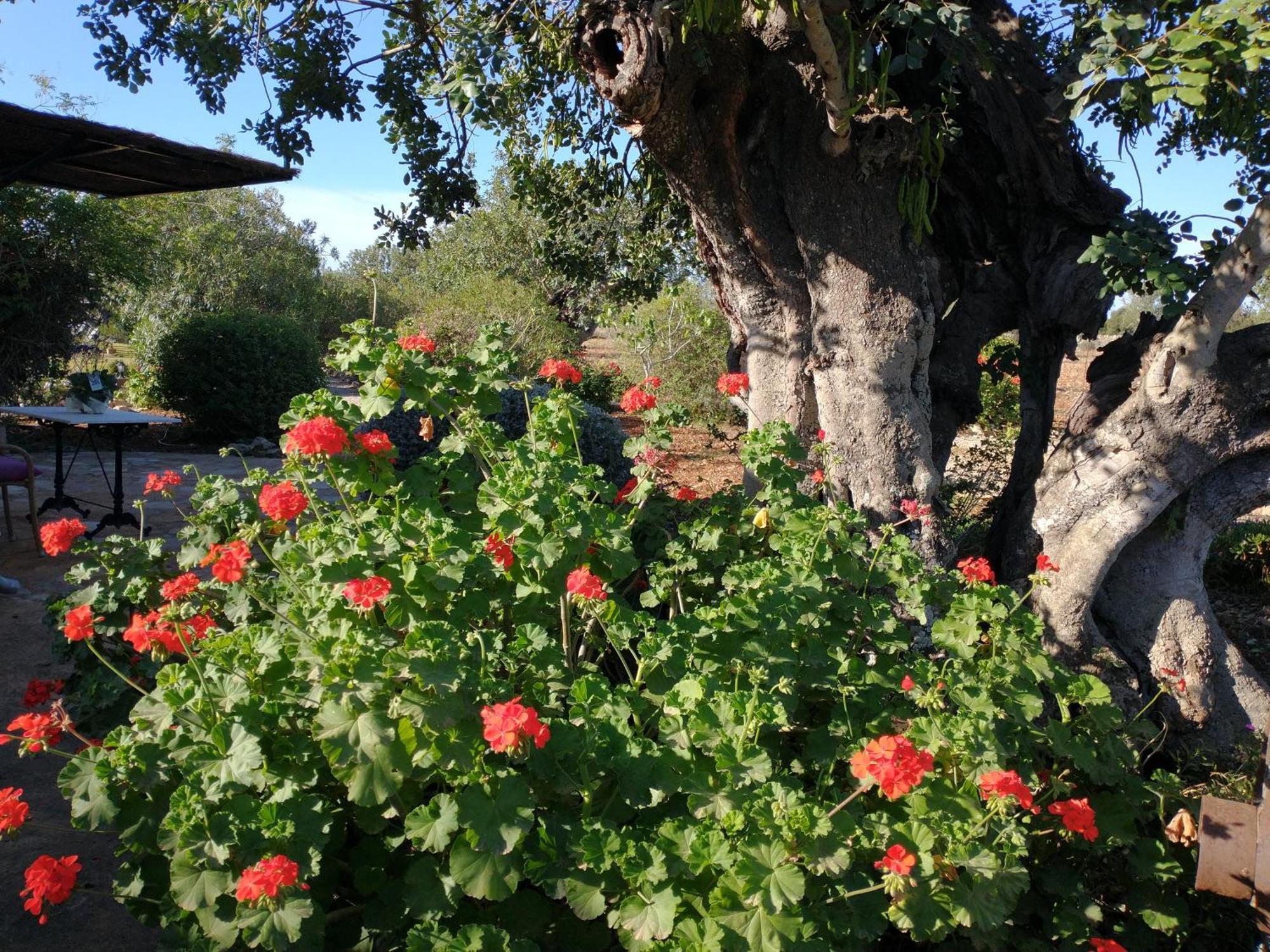 Finca Son Marimon (Adults Only) Сантаньи Экстерьер фото