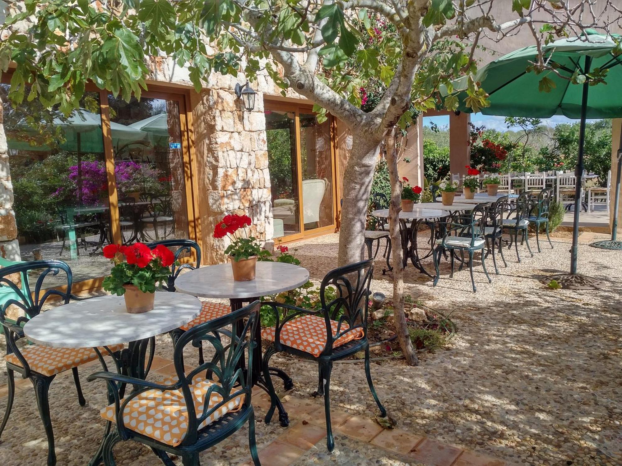 Finca Son Marimon (Adults Only) Сантаньи Экстерьер фото