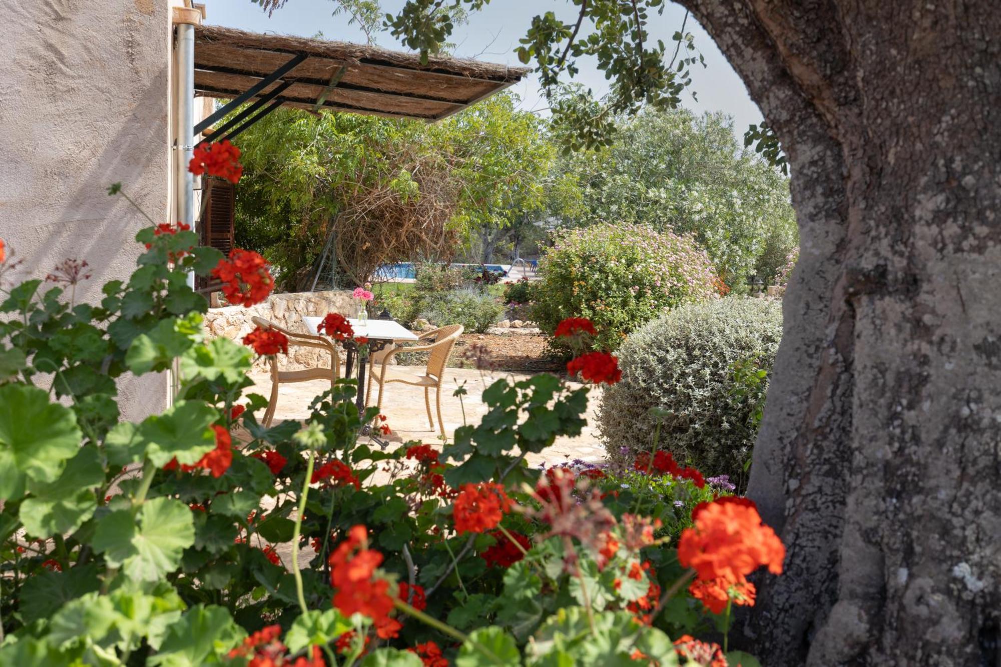 Finca Son Marimon (Adults Only) Сантаньи Экстерьер фото